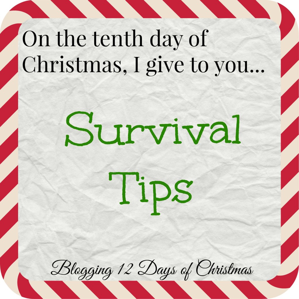 Day 10 of Blogging Christmas