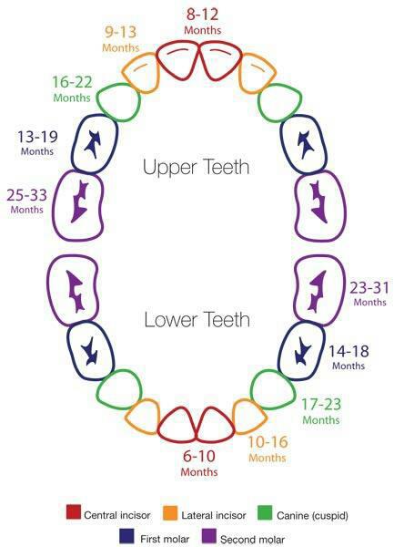 Teething Remedies