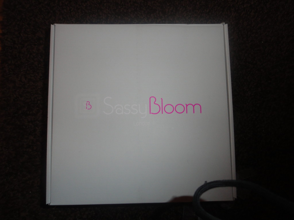 My 1st Sassy Bloom Box Review