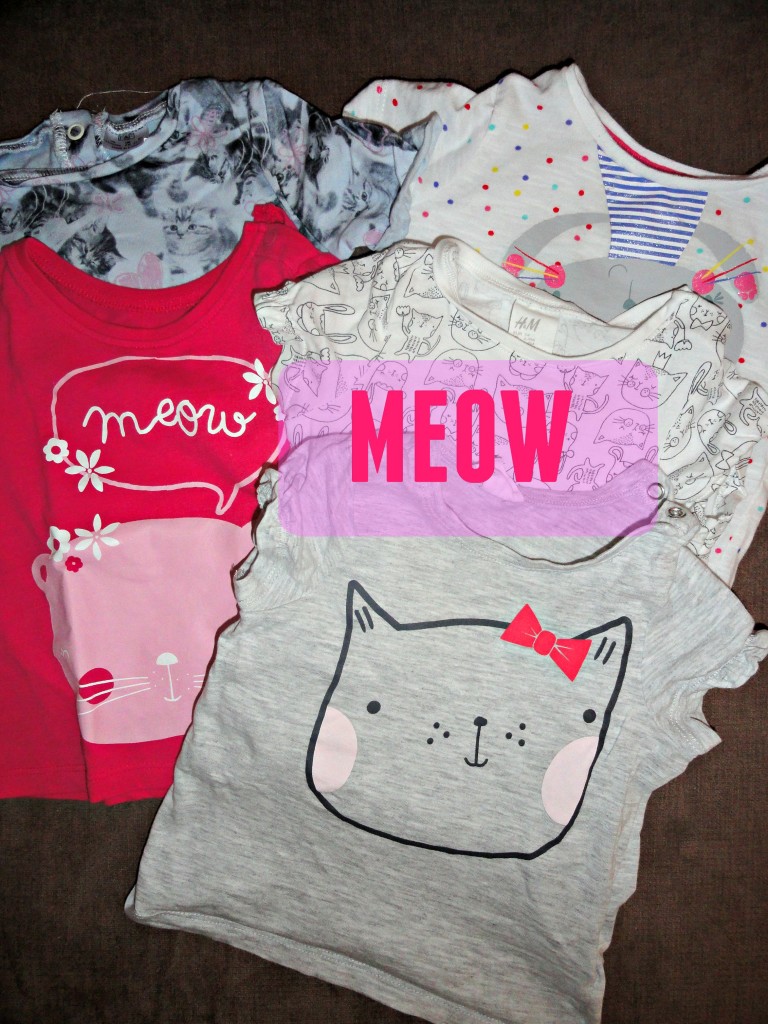 Cat Clothes Obsession