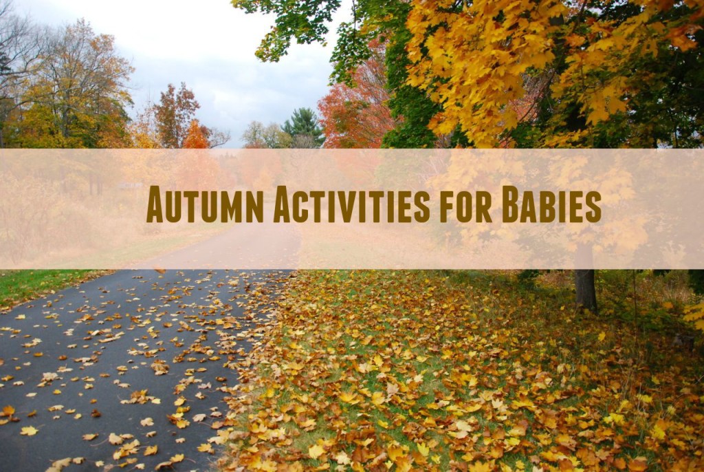 Autumn Activities for Babies/Toddlers