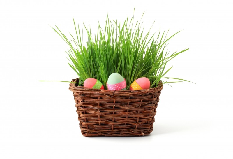 Easter Egg Hunts all over Ireland