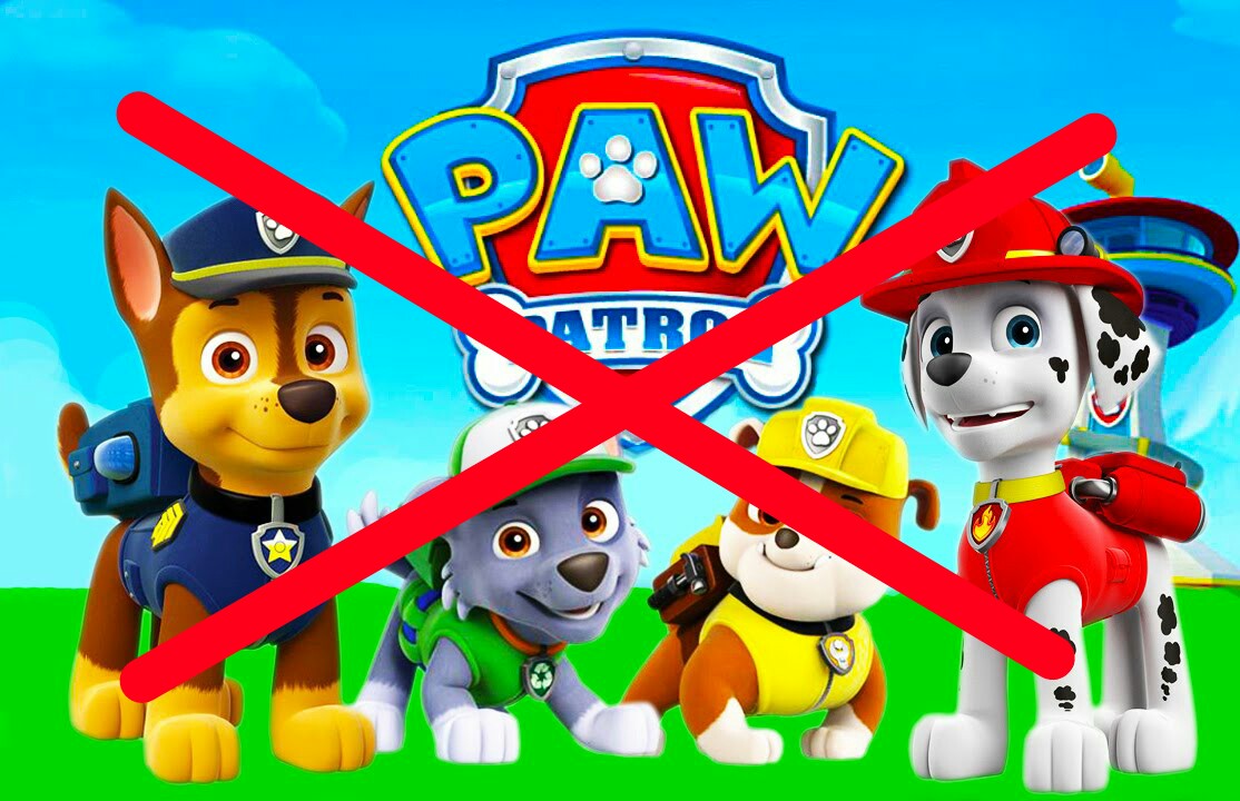 Paw Patrol Backup