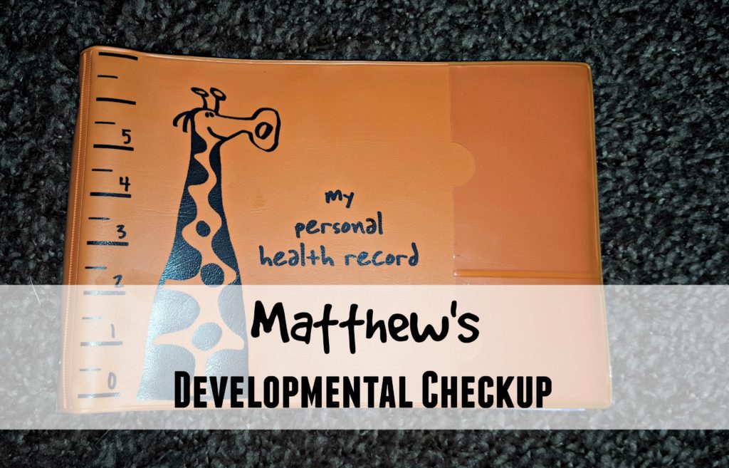 The Developmental Checkup