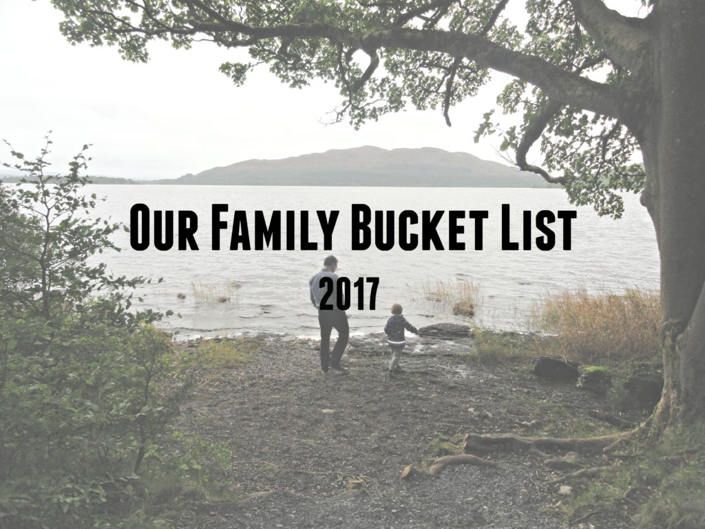 Our Family Bucket List 2017